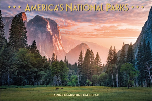 America's National Parks Deluxe Wall Calendar 2025-9781612235394