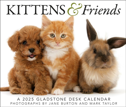 Kittens & Friends Box Calendar 2025-9781612235592