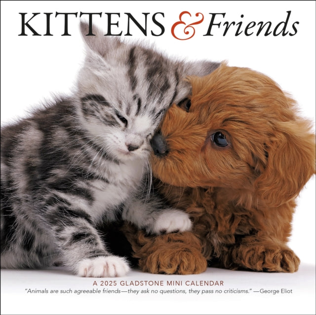 Kittens & Friends Square Mini Calendar 2025-9781612235608