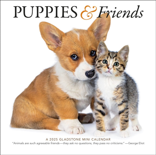 Puppies & Friends Square Mini Calendar 2025-9781612235646