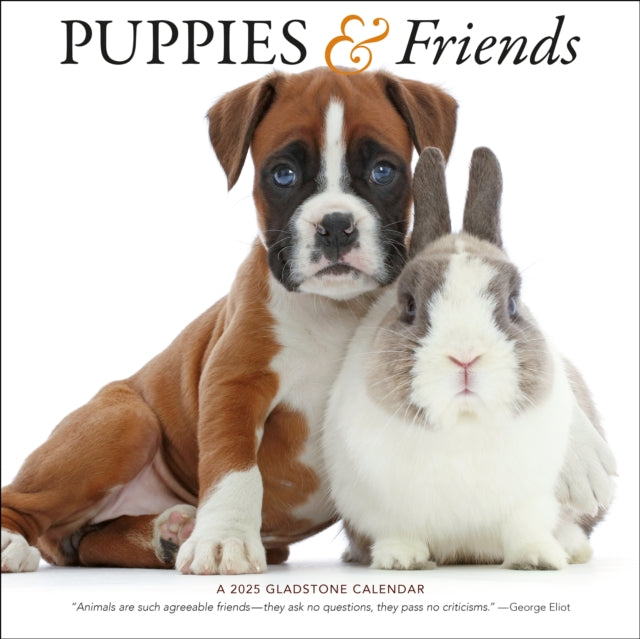 Puppies & Friends Square Wall Calendar 2025-9781612235653