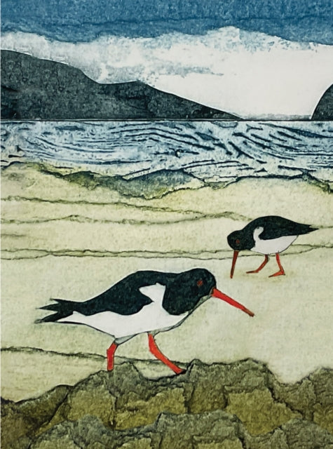 Wild Birds Pocket Notebook: Oystercatcher-9781780278469