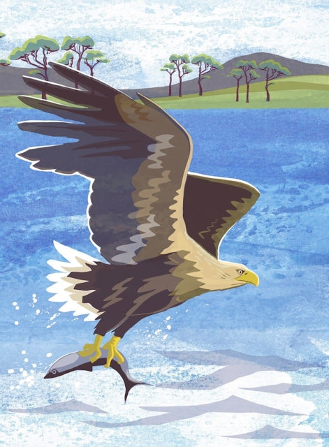 Nature Notebook: Sea Eagle-9781780278780