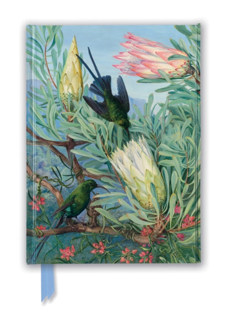 Kew Gardens' Marianne North: Honeyflowers and Honeysuckers (Foiled Journal)-9781787558069