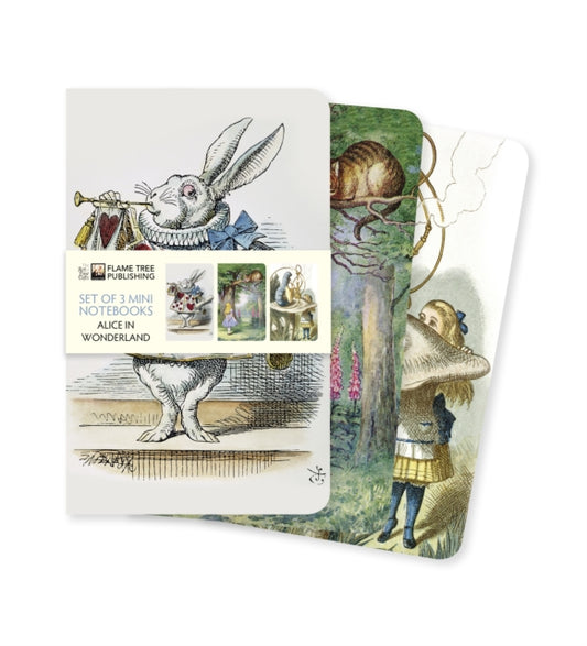 Alice in Wonderland Set of 3 Mini Notebooks-9781787559141