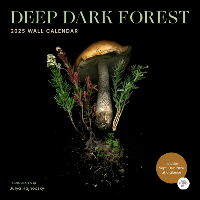 Deep Dark Forest 2025 Wall Calendar-9781797229607