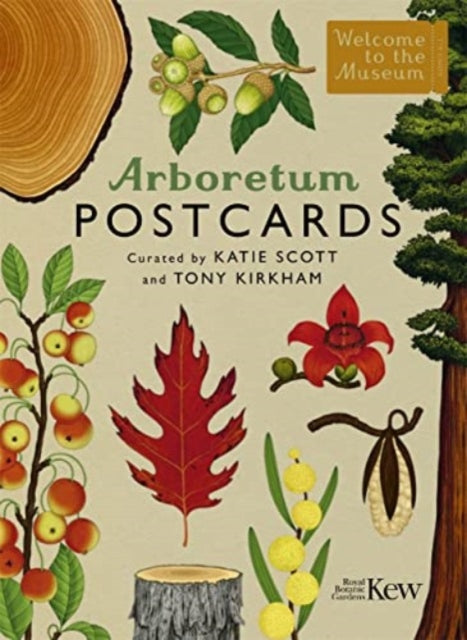 Arboretum Postcards-9781800783928