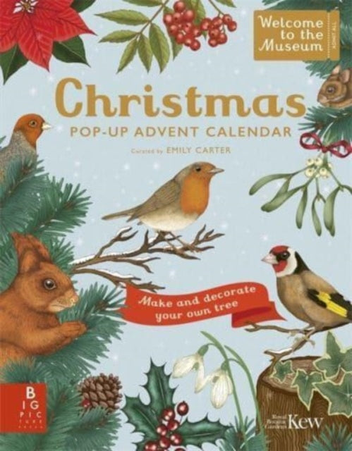 Welcome to the Museum: A Christmas Pop-Up Advent Calendar-9781800784369