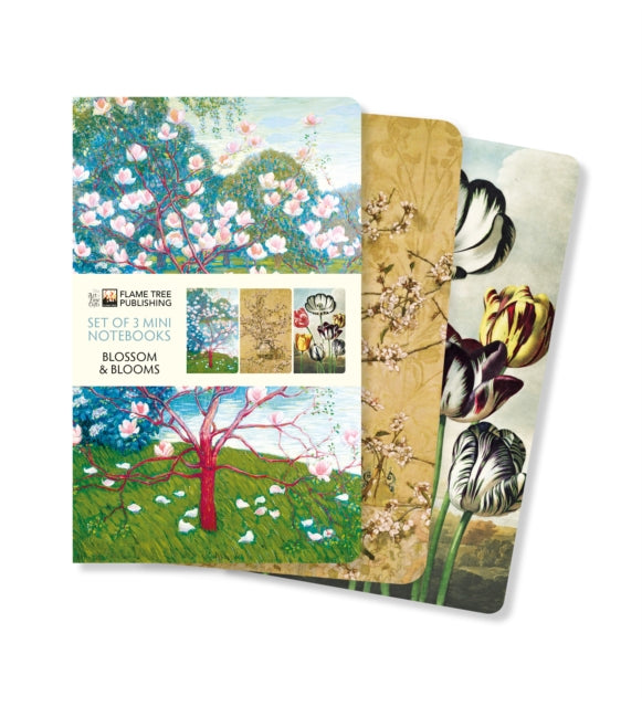 Blossoms & Blooms Set of 3 Mini Notebooks-9781804171974