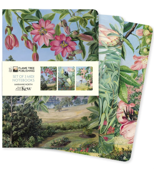 Kew Gardens: Marianne North Set of 3 Midi Notebooks-9781804172209