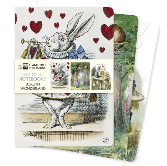 Alice in Wonderland Set of 3 Standard Notebooks-9781804176818