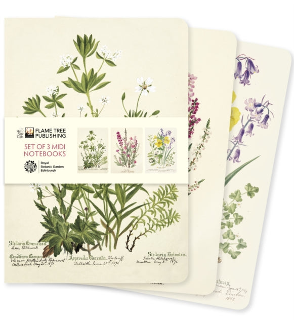 Royal Botanic Garden Edinburgh Set of 3 Midi Notebooks-9781804177778