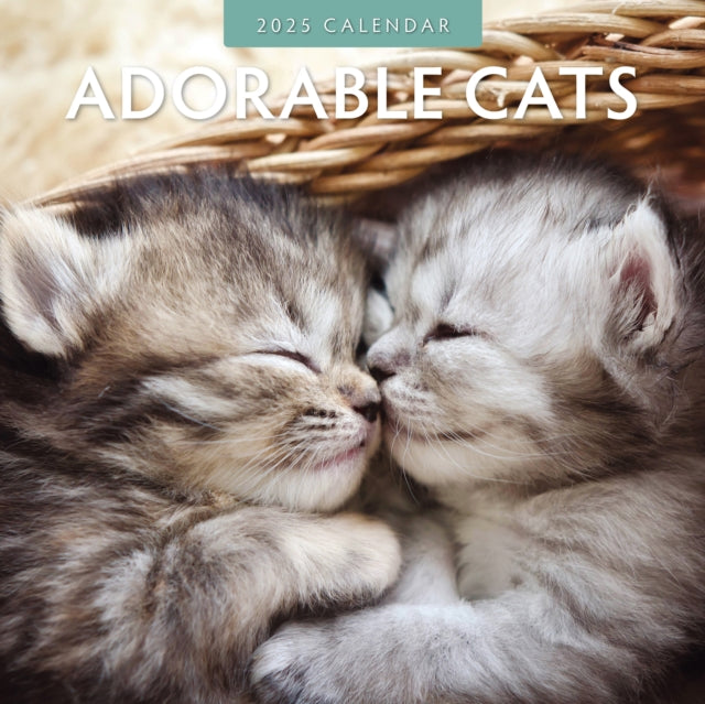 Adorable Cats 2025 Square Wall Calendar-9781804423660