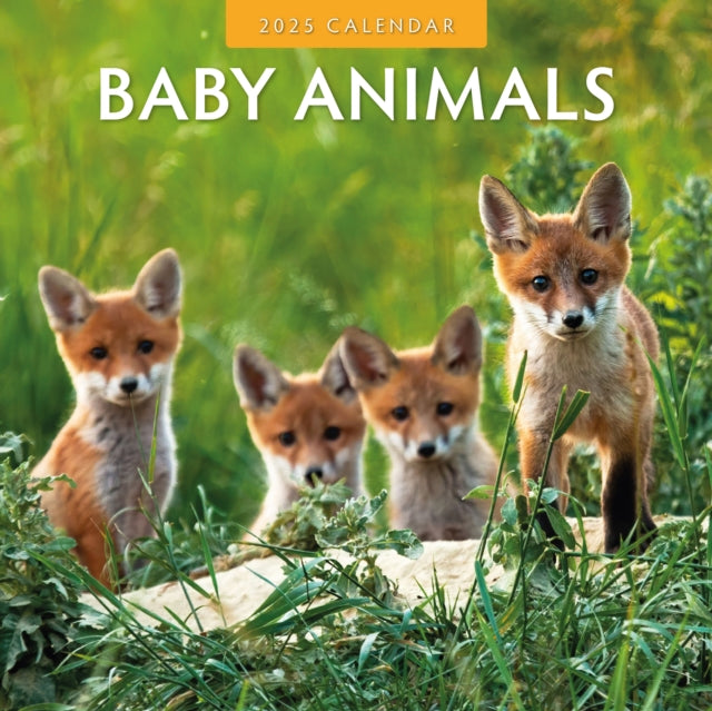 Baby Animals 2025 Square Wall Calendar-9781804423707