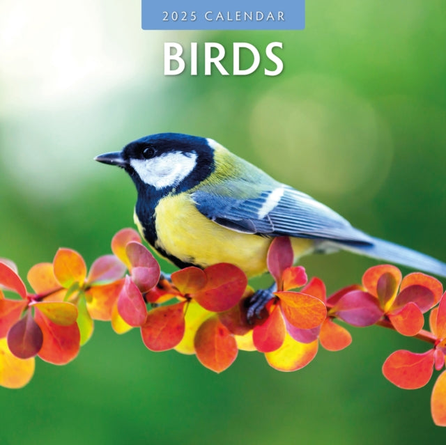 Birds 2025 Square Wall Calendar-9781804423714