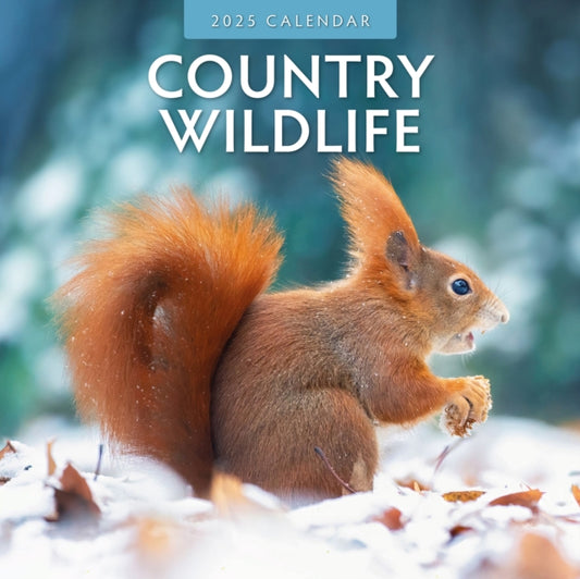 Country Wildlife 2025 Square Wall Calendar-9781804423783