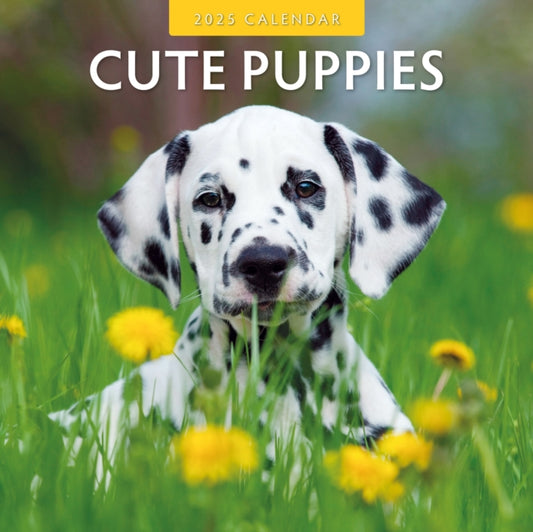 Cute Puppies 2025 Square Wall Calendar-9781804423820