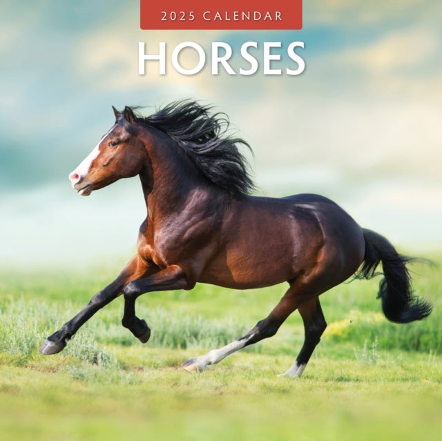 Horses 2025 Square Wall Calendar-9781804423950