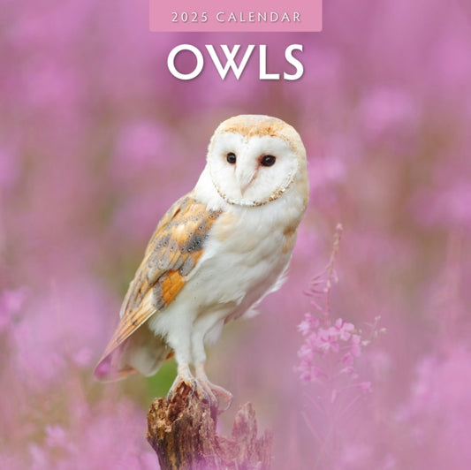 Owls 2025 Square Wall Calendar-9781804424001