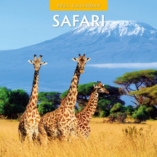 Safari 2025 Square Wall Calendar-9781804424070