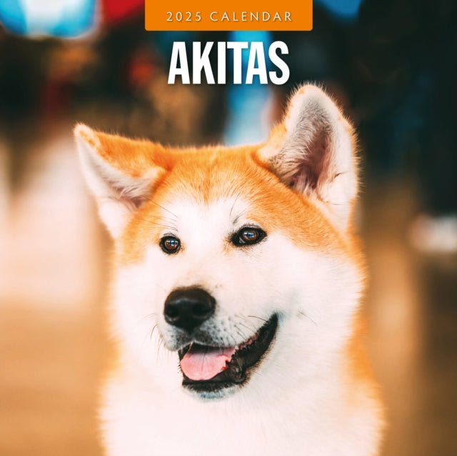 Akitas 2025 Square Wall Calendar-9781804424179