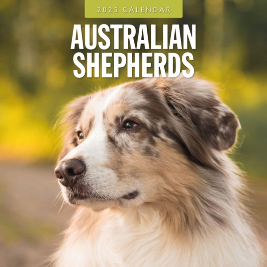 Australian Shepherds 2025 Square Wall Calendar-9781804424223