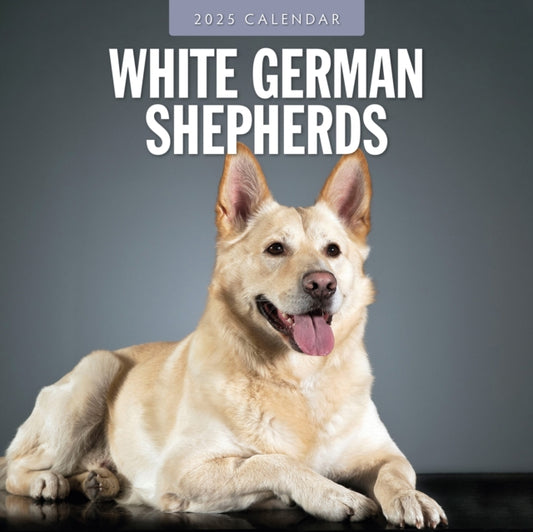 German Shepherd, White 2025 Square Wall Calendar-9781804424667