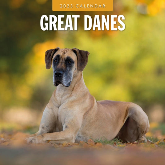 Great Danes 2025 Square Wall Calendar-9781804424728