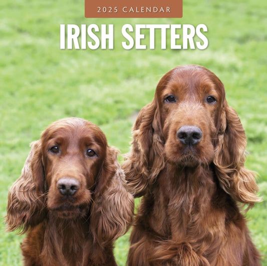 Irish Setters 2025 Square Wall Calendar-9781804424766