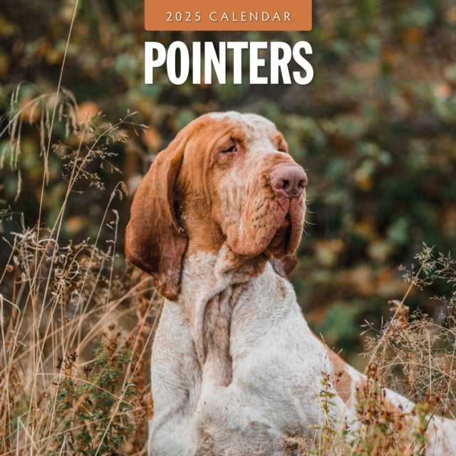 Pointers 2025 Square Wall Calendar-9781804424964