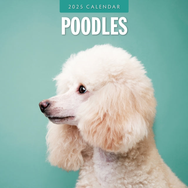 Poodles 2025 Square Wall Calendars-9781804424988