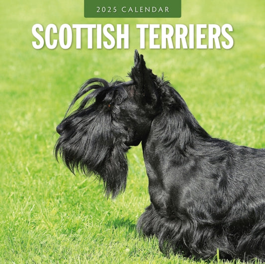 Scottish Terriers 2025 Square Wall Calendar-9781804425077