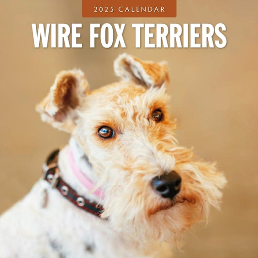 Wire Fox Terriers 2025 Square Wall Calendar-9781804425244