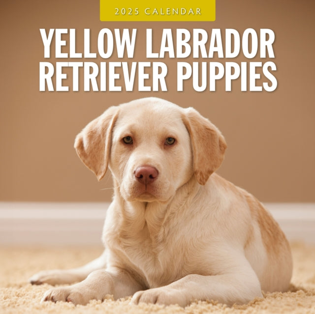 Yellow Labrador Retriever Puppies 2025 Square Wall Calendar-9781804425275