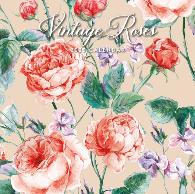 Vintage Roses 2025 Square Wall Calendar-9781804425589