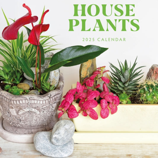 House Plants 2025 Square Wall Calendar-9781804425633