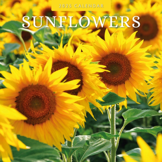 Sunflowers 2025 Square Wall Calendar-9781804425664