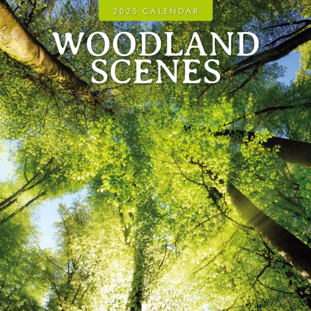 Woodland Scenes 2025 Square Wall Calendar-9781804426166