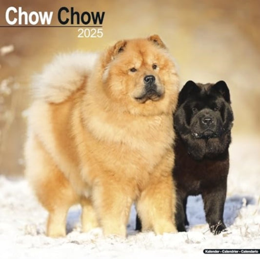 Chow Chow Calendar 2025  Square Dog Breed Wall Calendar - 16 Month-9781804603291