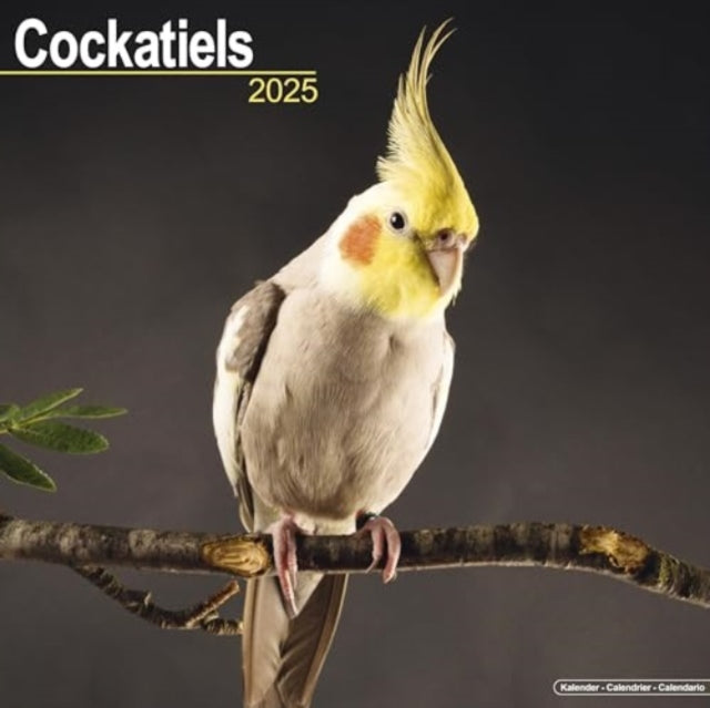 Cockatiels Calendar 2025  Square Bird Wall Calendar - 16 Month-9781804604144