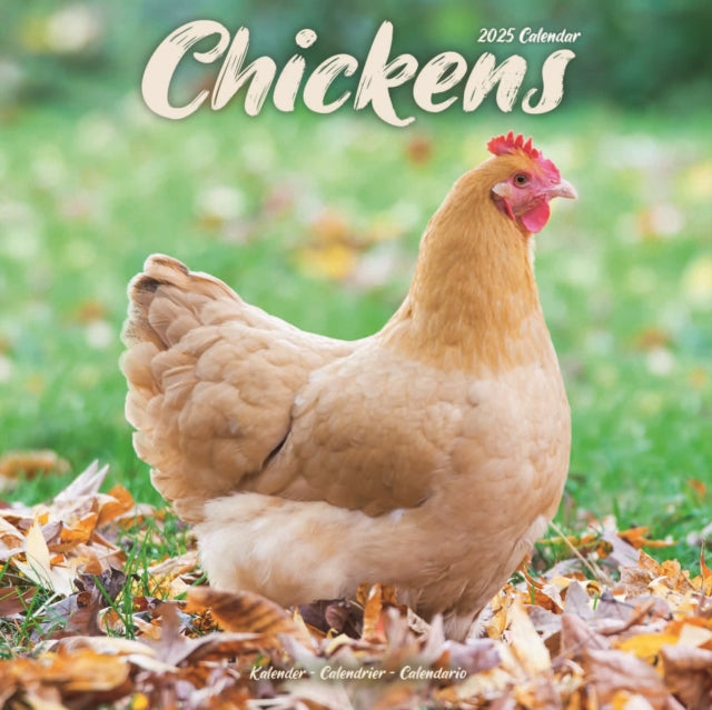 Chickens Square Wall Calendar 2025-9781804604274