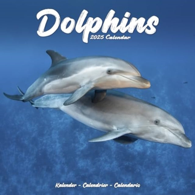 Dolphins Calendar 2025  Square Animal Wall Calendar - 16 Month-9781804604304