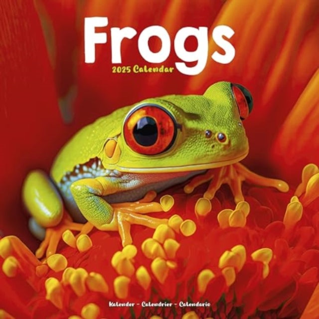 Frogs Calendar 2025  Square Animal Wall Calendar - 16 Month-9781804604342