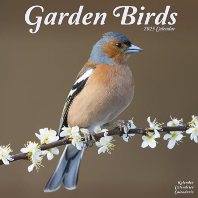 Garden Birds Calendar 2025  Square Birds Wall Calendar - 16 Month-9781804604359