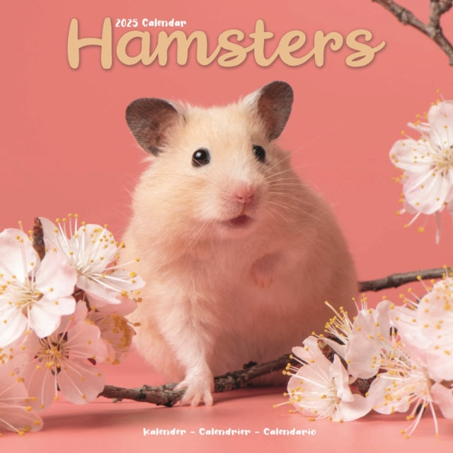 Hamsters Square Wall Calendar 2025-9781804604373