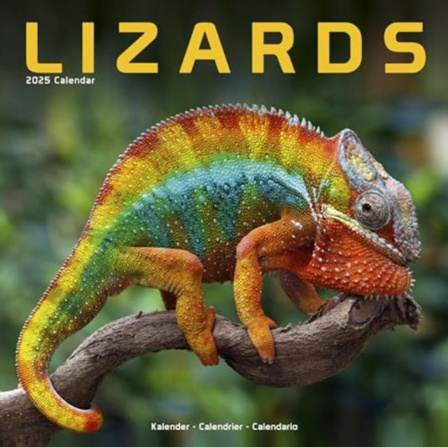 Lizards Calendar 2025  Square Animal Wall Calendar - 16 Month-9781804604403