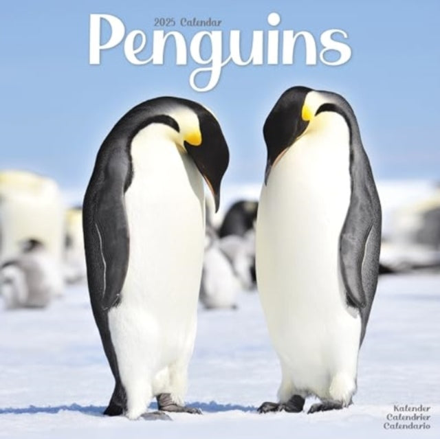 Penguins Calendar 2025  Square Animal Wall Calendar - 16 Month-9781804604441