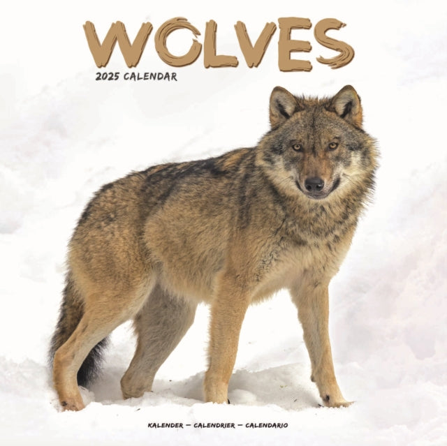 Wolves Square Wall Calendar 2025-9781804604557