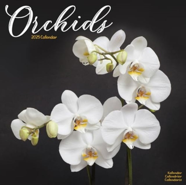 Orchids Calendar 2025  Square Flowers Wall Calendar - 16 Month-9781804604793