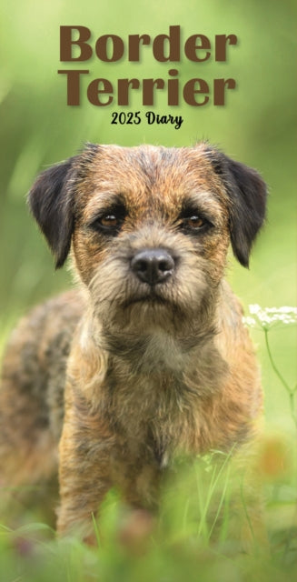 Border Terriers Slim Diary 2025-9781804605745